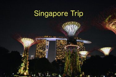 2019年劇場版「コナン」の舞台になったシンガポールに一人海外旅行｜マリーナベイサンズ宿泊者限定のインフィニティ・プールやカジノ体験！
